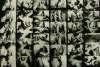 conserver sex links 92_096